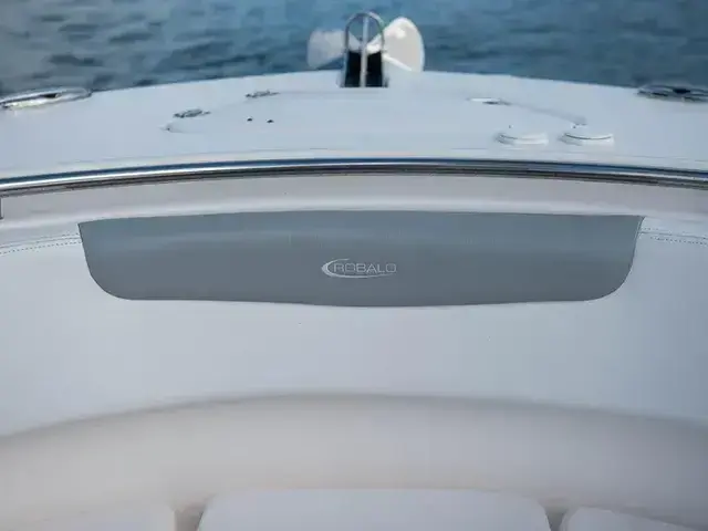 Robalo R302