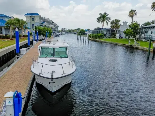 Boston Whaler 31