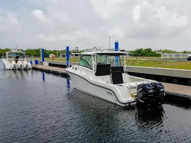 Boston Whaler 31