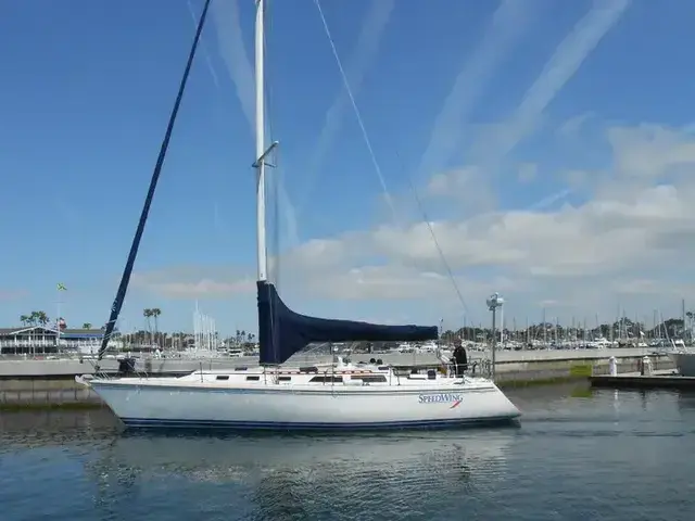 Catalina 42