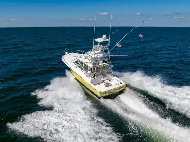 Cabo 40 Convertible