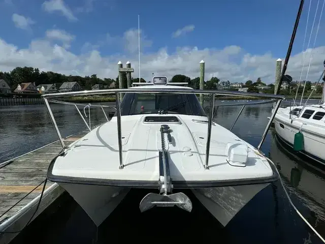 Arrowcat Coupe 320