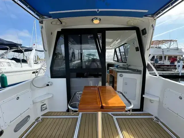 Arrowcat Coupe 320