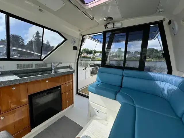 Arrowcat Coupe 320