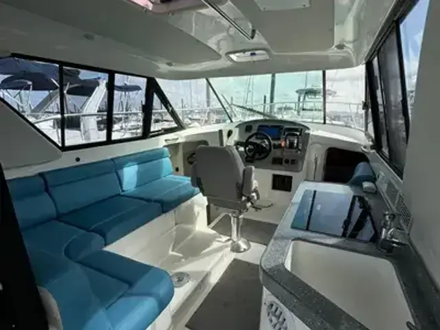 Arrowcat Coupe 320