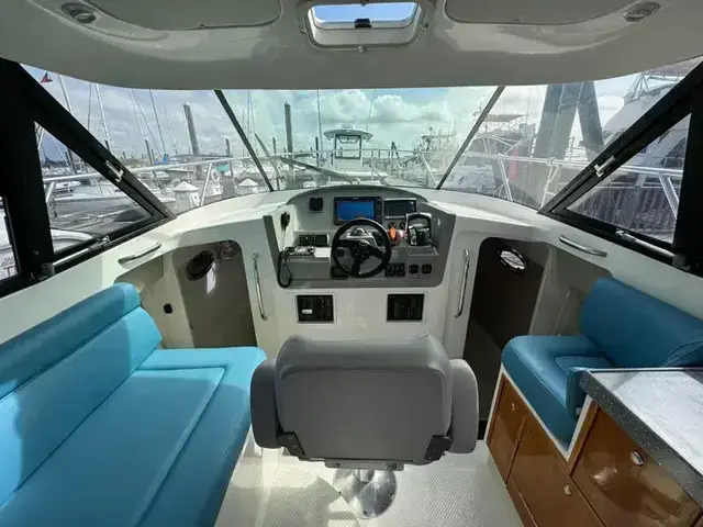 Arrowcat Coupe 320