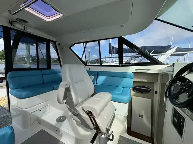 Arrowcat Coupe 320