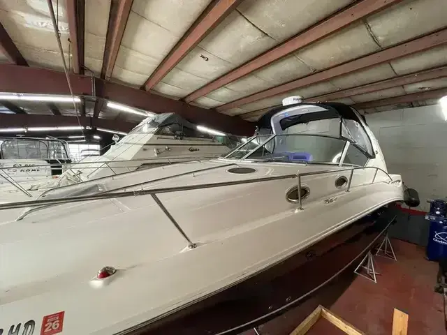 Sea Ray 32