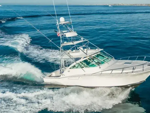 Cabo 40 Convertible