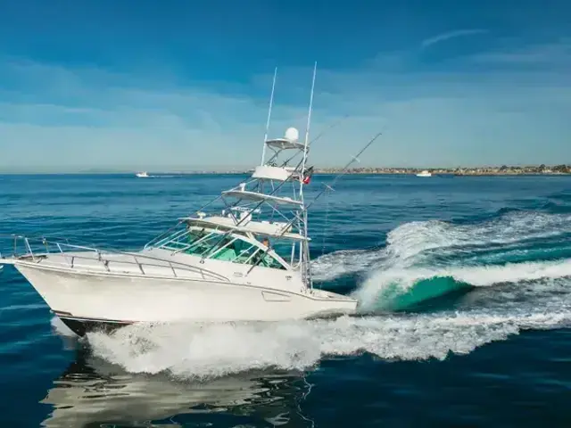 Cabo 40 Convertible