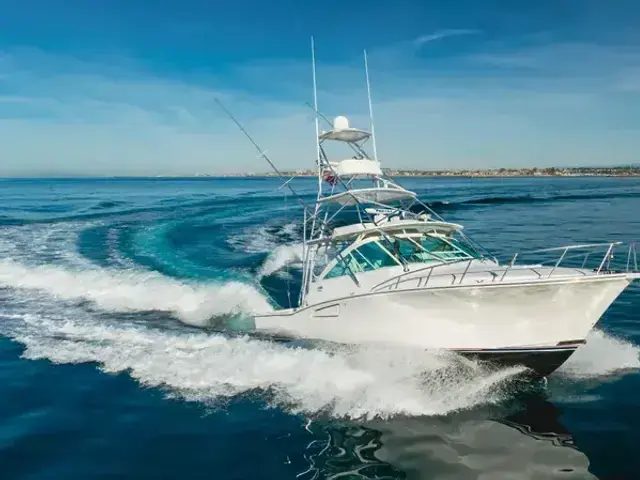 Cabo 40 Convertible