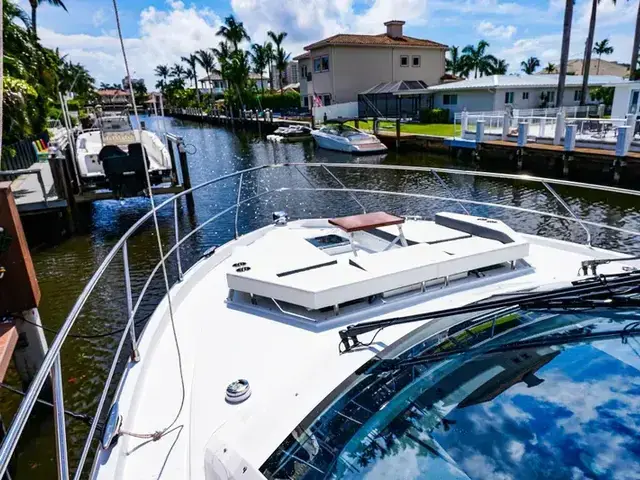 Cruisers 50 Cantius