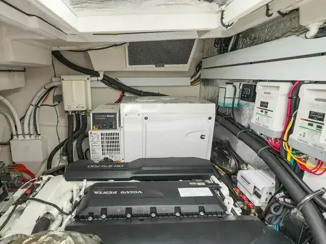 Cruisers 50 Cantius