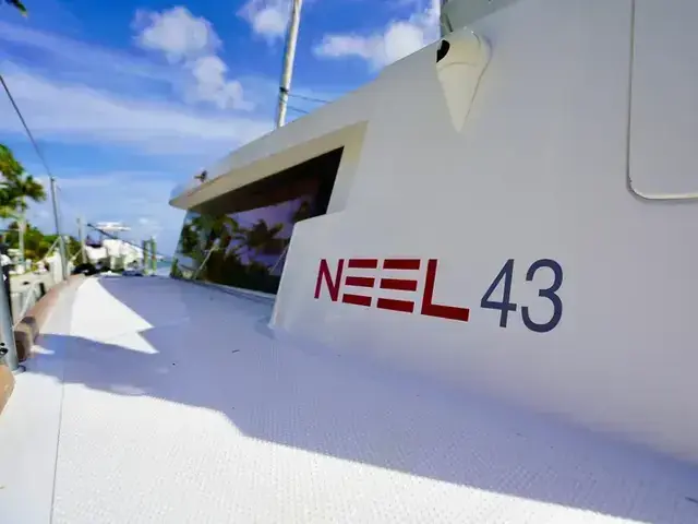 Neel 43