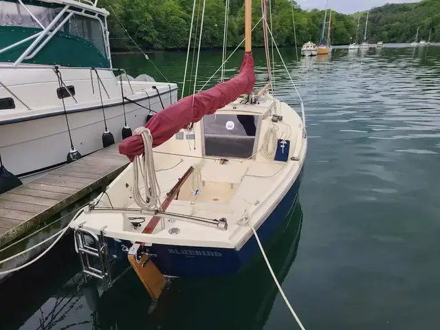 Cornish Crabbers Shrimper 19