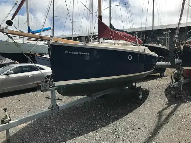 Cornish Crabbers Shrimper 19