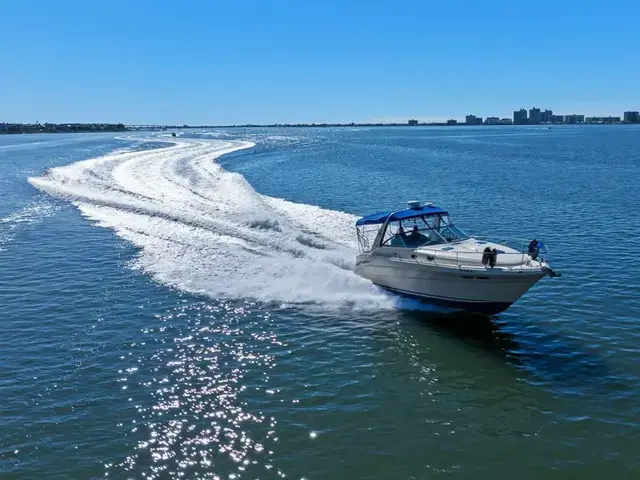 Sea Ray 340