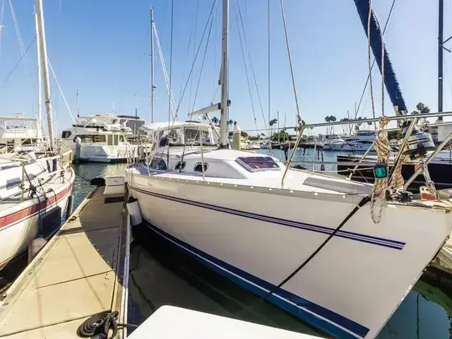 Catalina 385