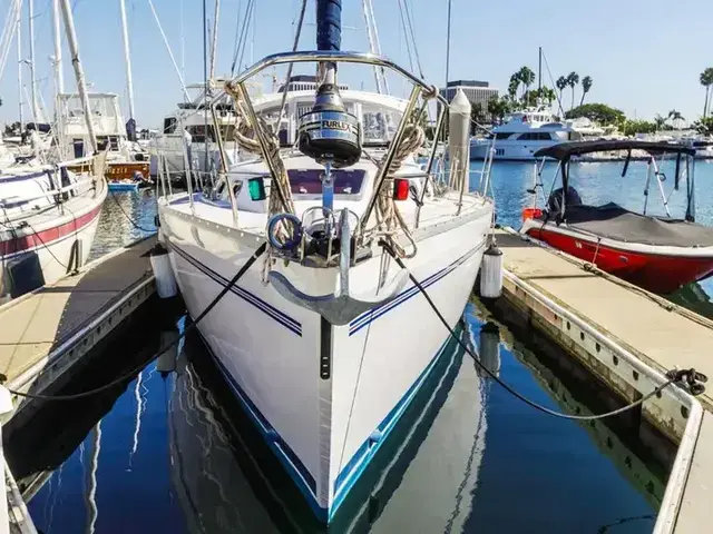 Catalina 385