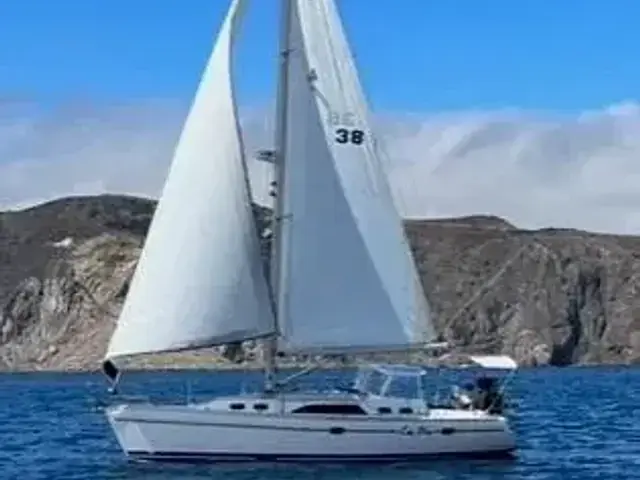 Catalina 385