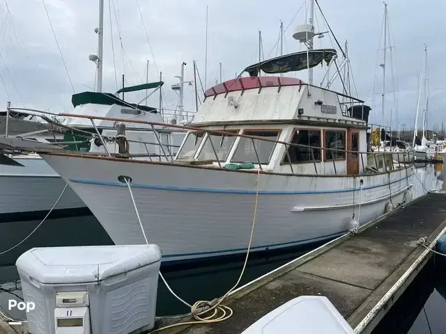 Marine IV