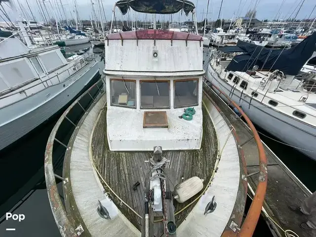 Marine IV