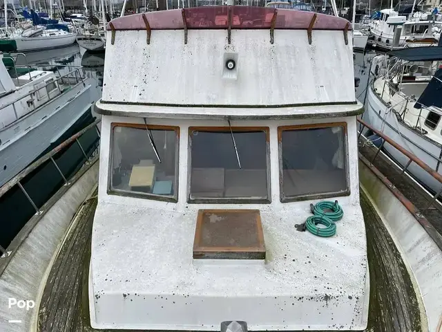 Marine IV