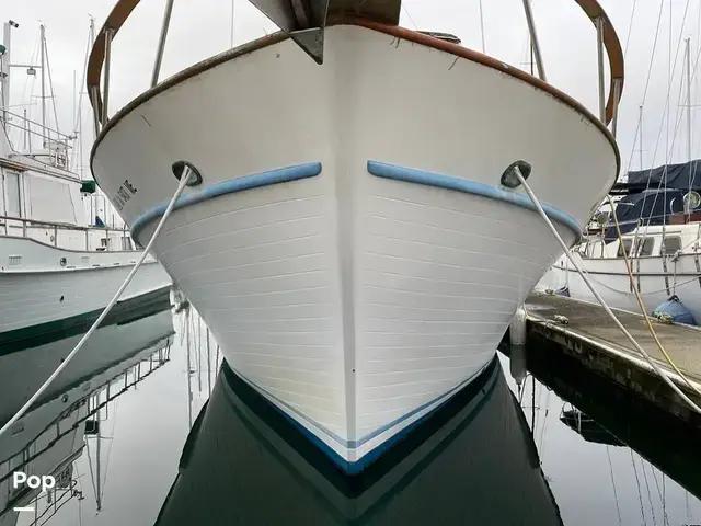 Marine IV