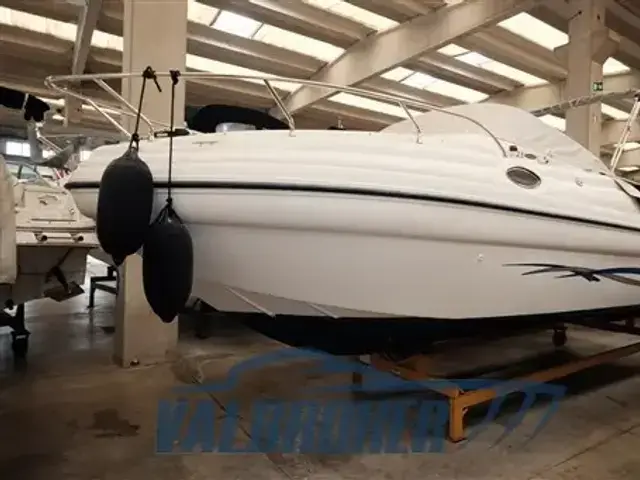 Ranieri Sea Lady 23