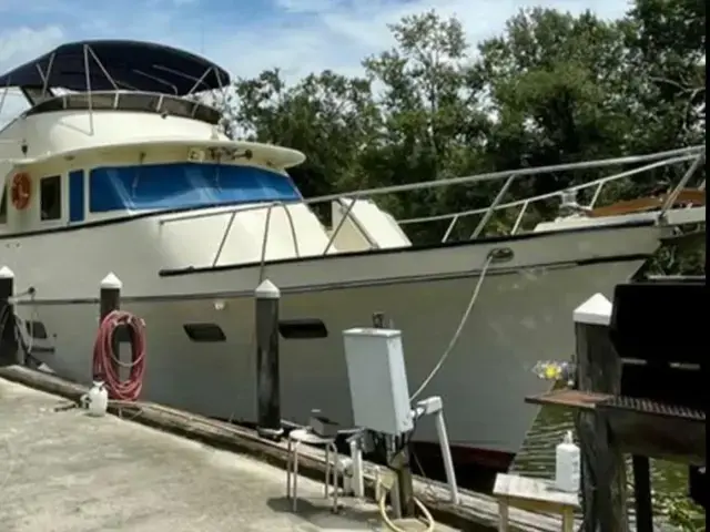 Trader Med Yacht w- Cockpit