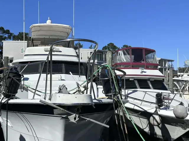 Hatteras Yacht Fish 53