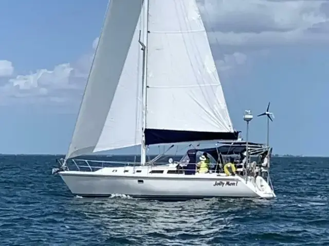 Catalina 42