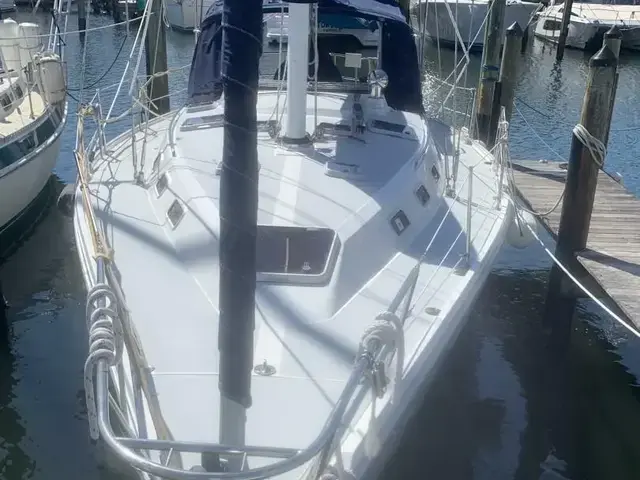 Catalina 42