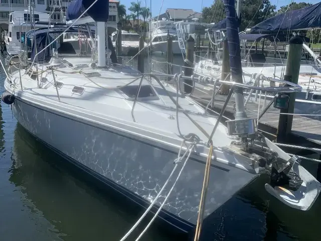 Catalina 42