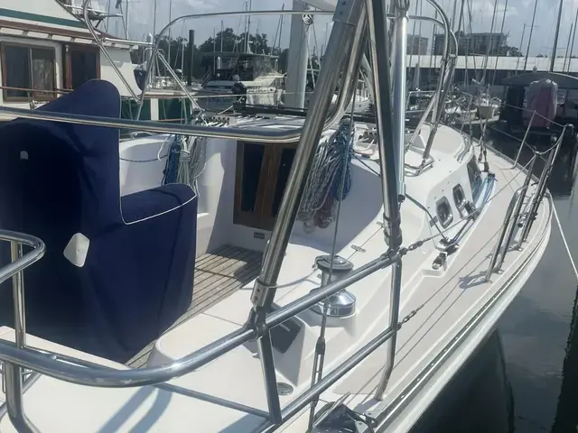 Catalina 385