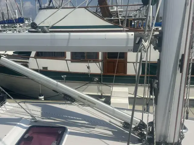 Catalina 385