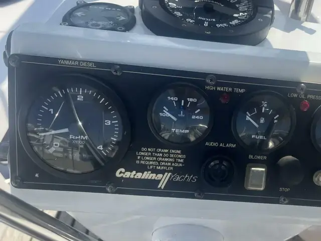 Catalina 385