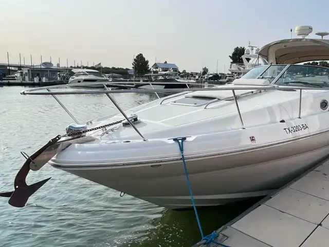 Sea Ray Sundancer 320