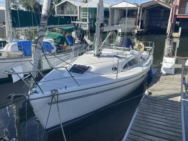 Catalina 309