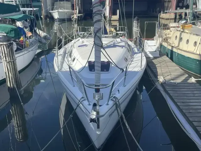 Catalina 309