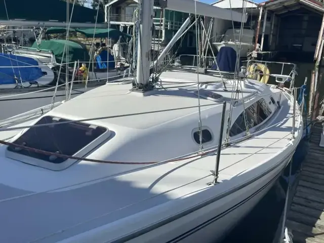 Catalina 309