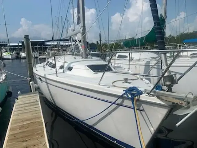 Catalina 320