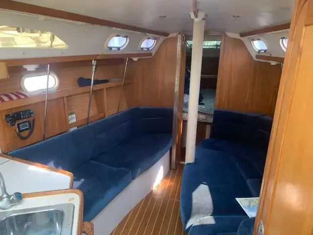 Catalina 320