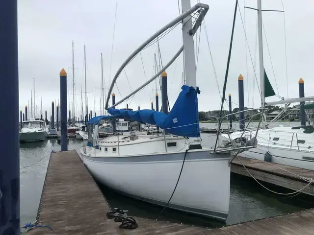 Hinterhoeller Nonsuch 30 Ultra