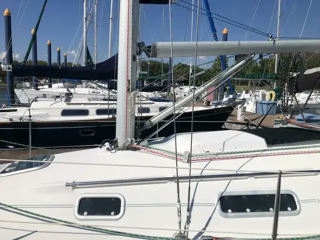 Beneteau Oceanis 300