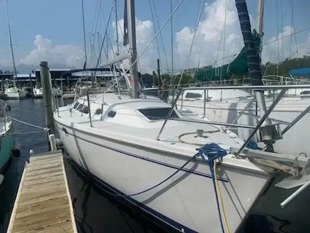 Catalina 320