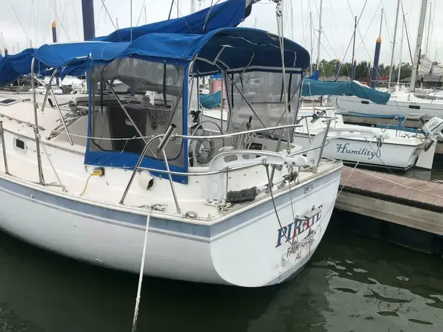 Hinterhoeller Nonsuch 30 Ultra