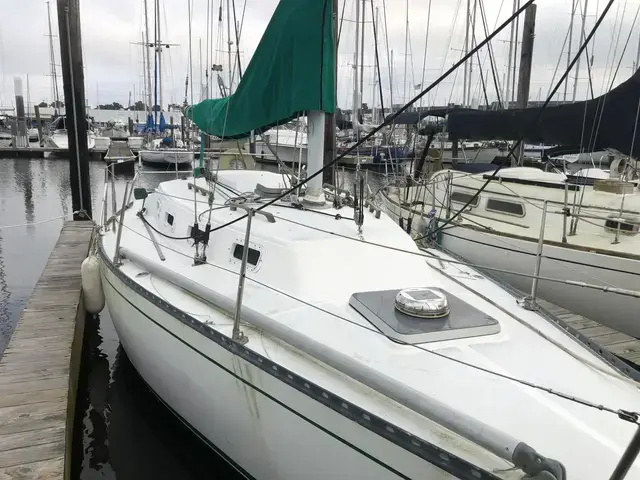 Tartan 28