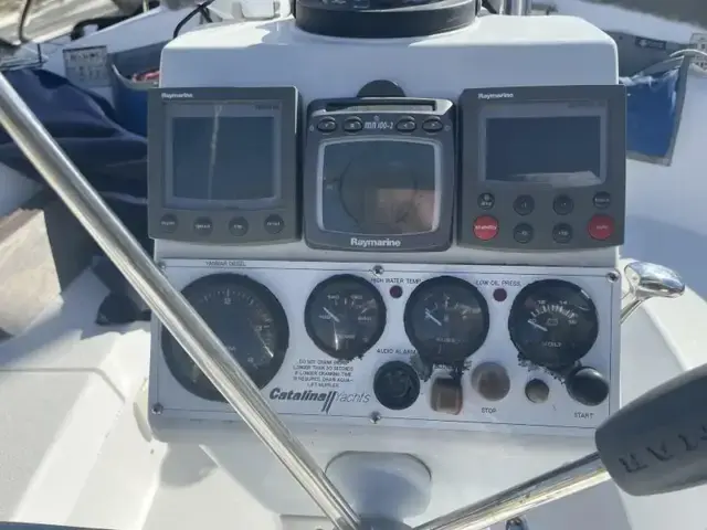 Catalina 309