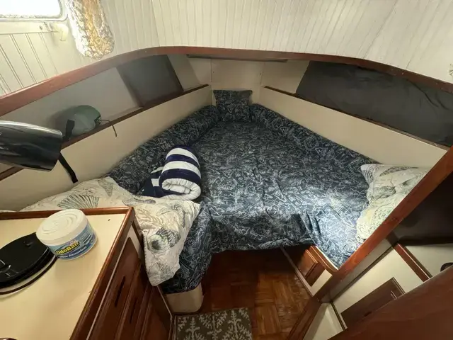 Willard Boats Nomad 30